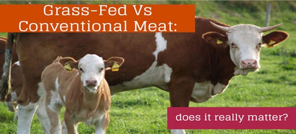 grass-fed-vs-conventional